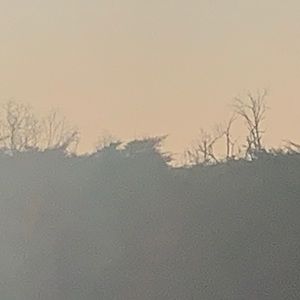 Meet your Posher, Mariah